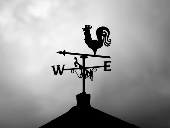 Quels repères pour le manager dans un contexte de transition agile?